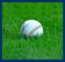 Load image into Gallery viewer, Jr Sports - Baseball
